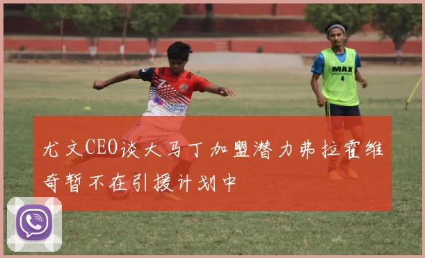尤文CEO谈大马丁加盟潜力弗拉霍维奇暂不在引援计划中
